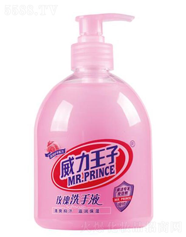 ��������õ�坙�wϴ��Һ 500��