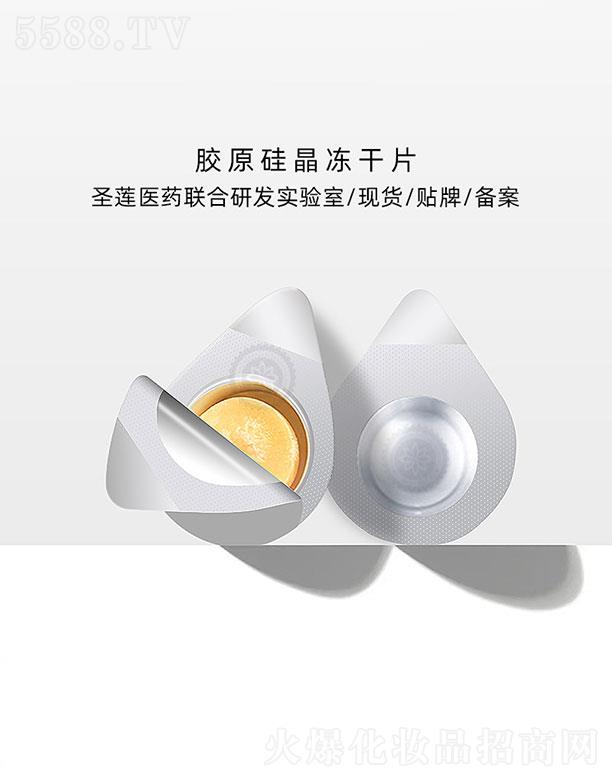 �V��ʥɏ�t(y��)ˎ�Ƽ����޹�˾���V��ʥɏ  ʥɏ�����zԭ�辧����Ƭ   ���w���o(h��)