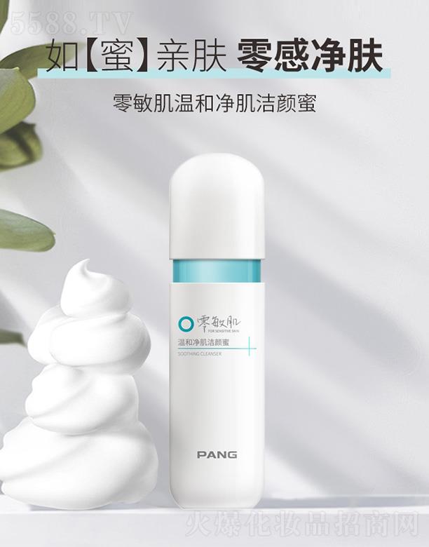 PANG�������غ̓��������