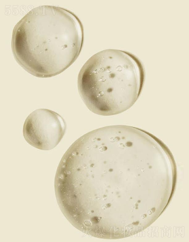 ANCORS���׸��ğ��ɿ�����Ĥ