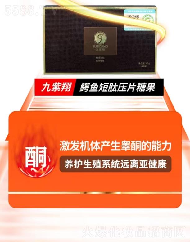 �������{�~���ĉ�Ƭ�ǹ�