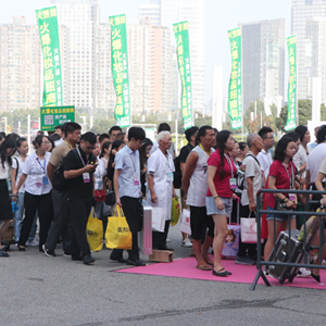 2019�������I(y��)���[�����𱬾W(w��ng)�F��������ң�