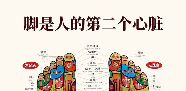 ���B(y��ng)Ԋ(sh��)���ˎѬ������ԡ����ԡ��