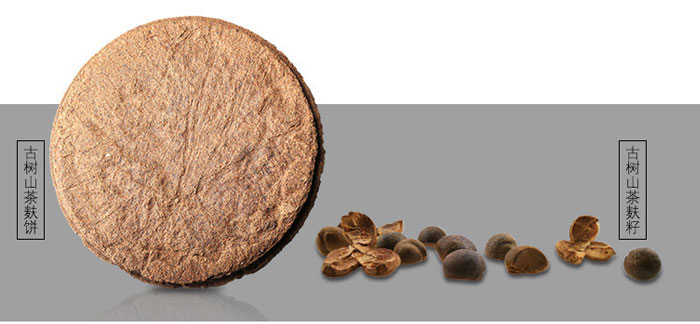 ���ϼ���-�Ř�(sh��)ɽ����ϴ�l(f��)��