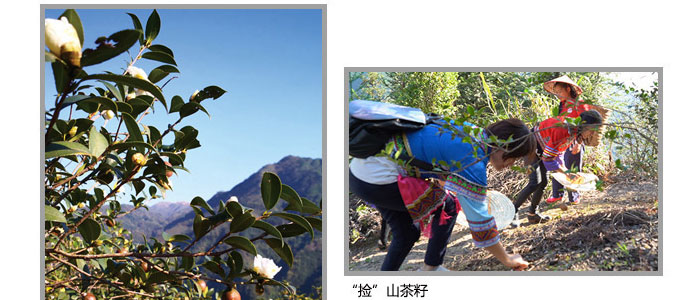 ���ϼ���-�Ř�(sh��)ɽ����ϴ�l(f��)��