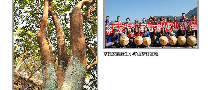 ���ϼ���-�Ř�(sh��)ɽ����ϴ�l(f��)��