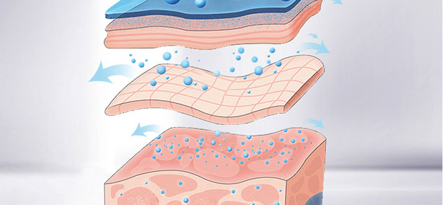 С��������Ĥ