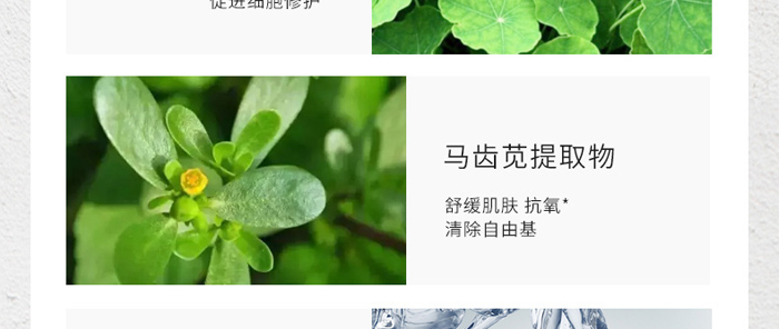 �������弡��Ĥ