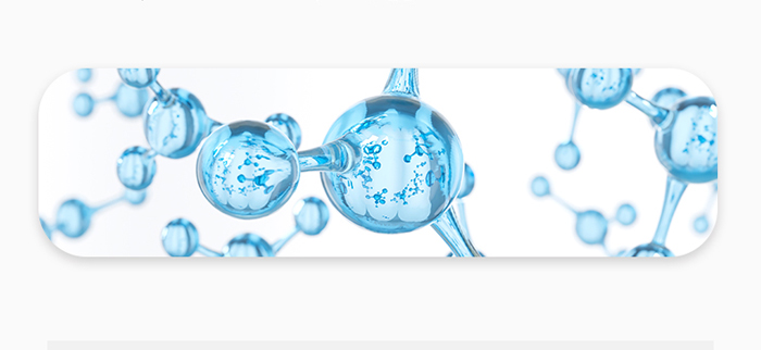 �����{(l��n)�L(f��ng)�������ԡ¶