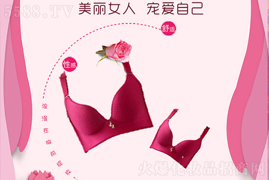 ��(y��u)�ż��˃�(n��i)������