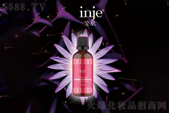 �����_��侫��