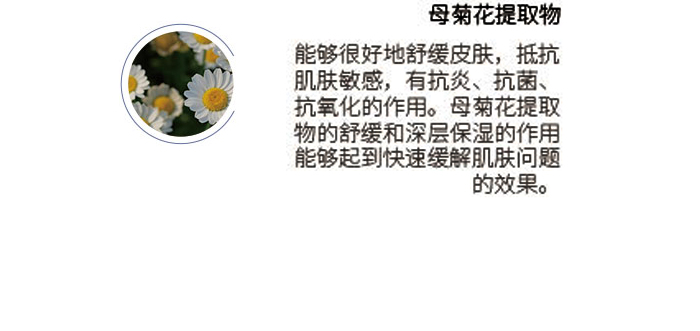 玻色因凝時抗皺套 玻色因凝時抗皺套