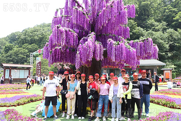 ���h�F�@�Ͼ�ɽ���y�������֮��