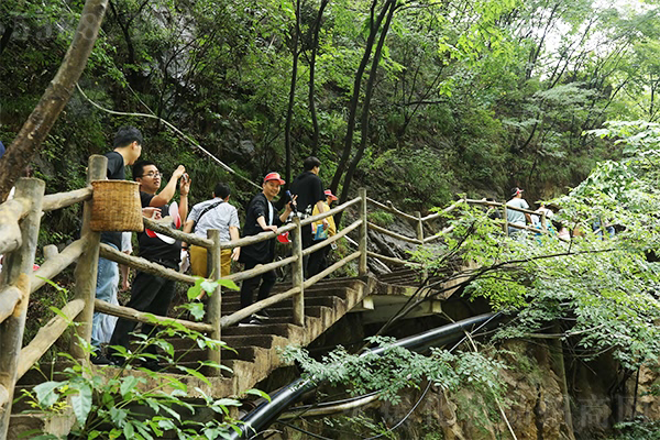 �����е�����