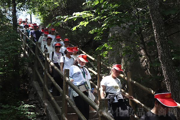 �����Ͼ�ɽ