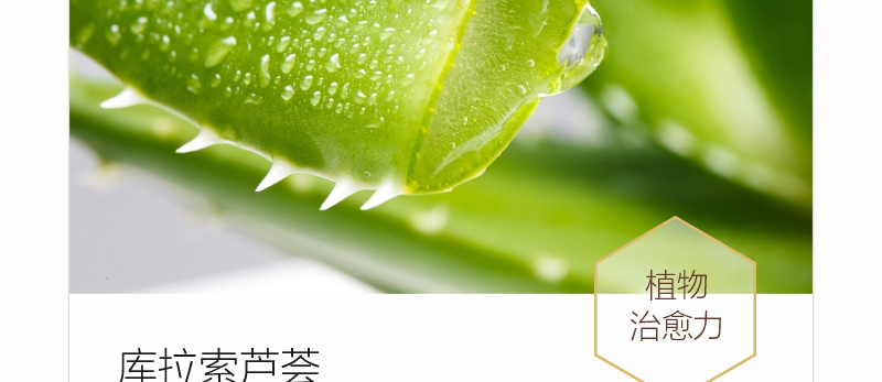 ؐ��ޱԊ�������R����Ч�ޏ���Ĥ