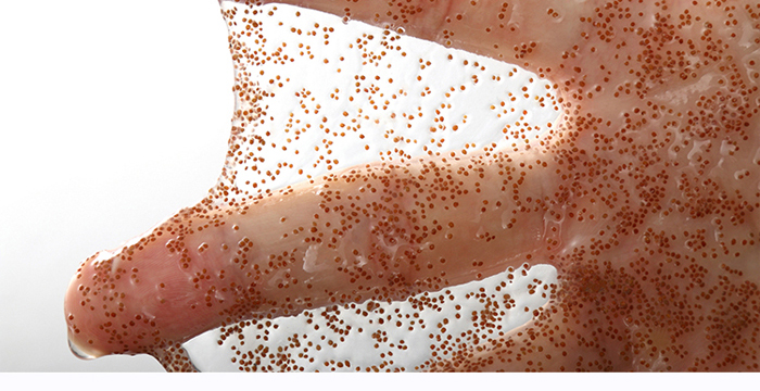 ��Ȼ̩��(gu��)С�w��������Ĥ