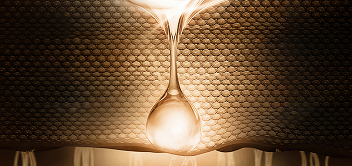 Piccoch���N(y��n)���ݼ���׺�