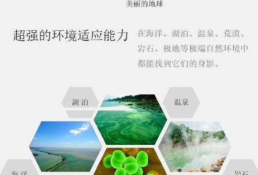 δ��(bi��o)�}-3_04