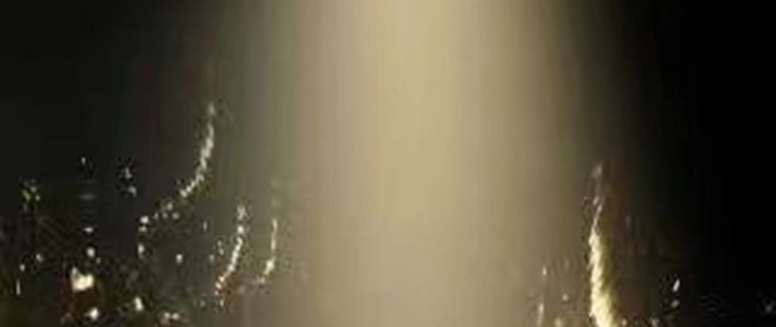 ��֦��AĽ��ɫ���ɴ���