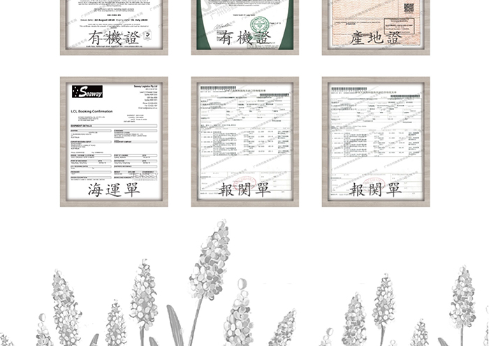 歐琪俐曦寶套 歐琪俐曦寶套