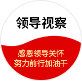 領(lǐng)導(dǎo)視察